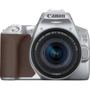 Canon EOS 250D + EF-S 18-55mm f/4-5.6 IS STM Lens (Silver)
