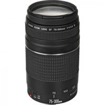Canon Zoom Telephoto EF 75-300mm f/4.0-5.6 III Autofocus Lens
