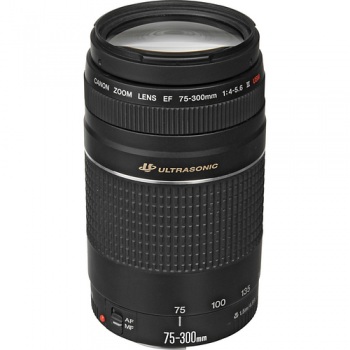 Canon Zoom Telephoto EF 75-300mm f/4.0-5.6 III USM Autofocus Lens